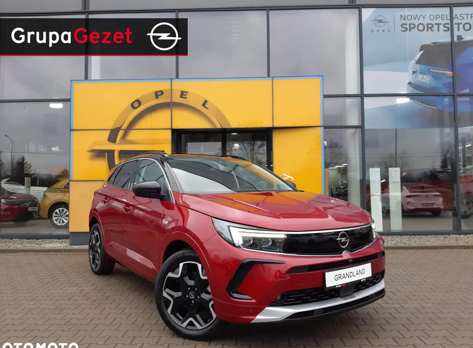 samochody osobowe Opel Grandland cena 142990 przebieg: 5, rok produkcji 2024 z Białobrzegi